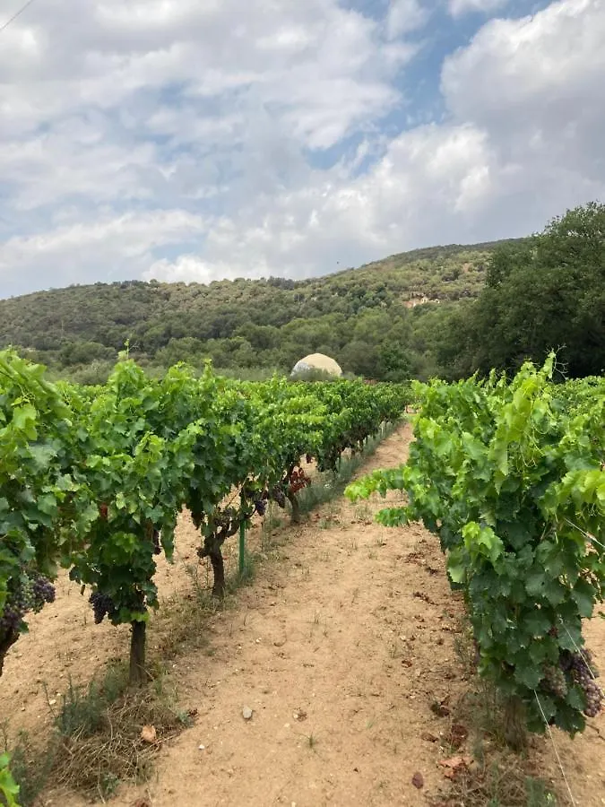 Domo Suites Masía Cal Geperut Badalona Campo de lujo